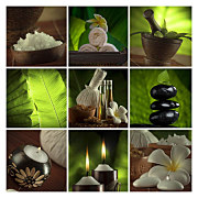 Feng shui obraz zs4757